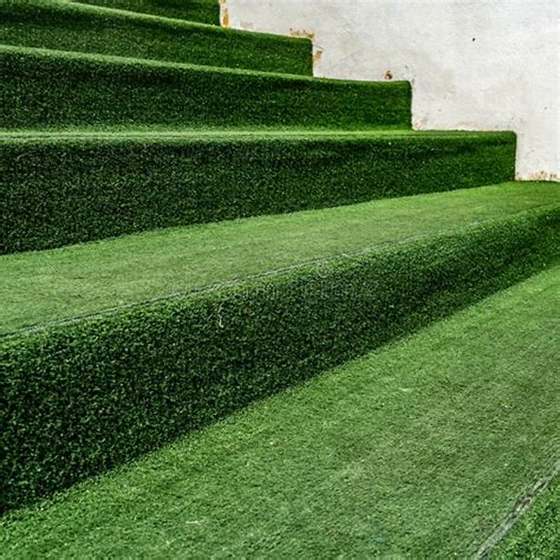 Best Artificial Grass Dealer in Ludhiana